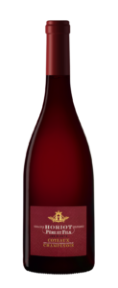 Coteaux Champenois Rouge Vin Tranquille