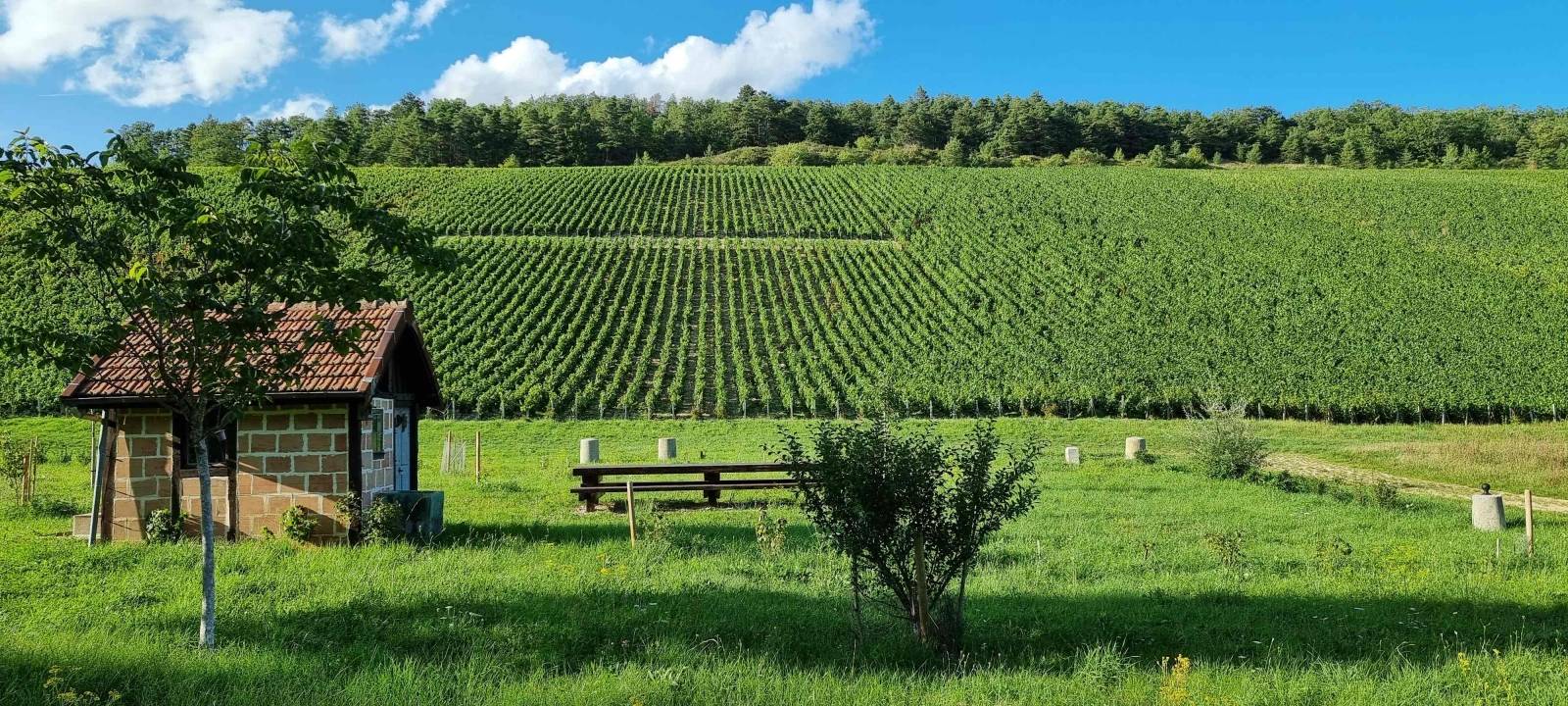 Champagne Horiot Père & Fils