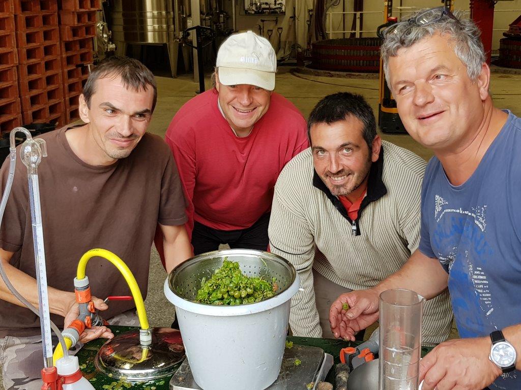 LES VENDANGES AUX CHAMPAGNES HORIOT PÈRE ET FILS – LES RICEYS