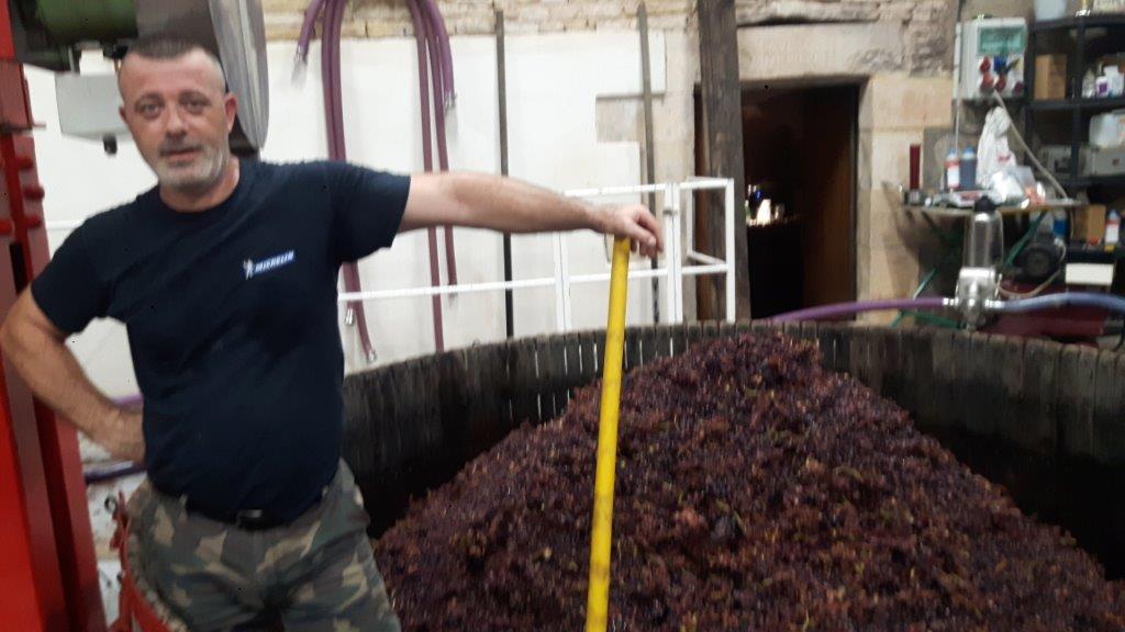 LES VENDANGES AUX CHAMPAGNES HORIOT PÈRE ET FILS – LES RICEYS