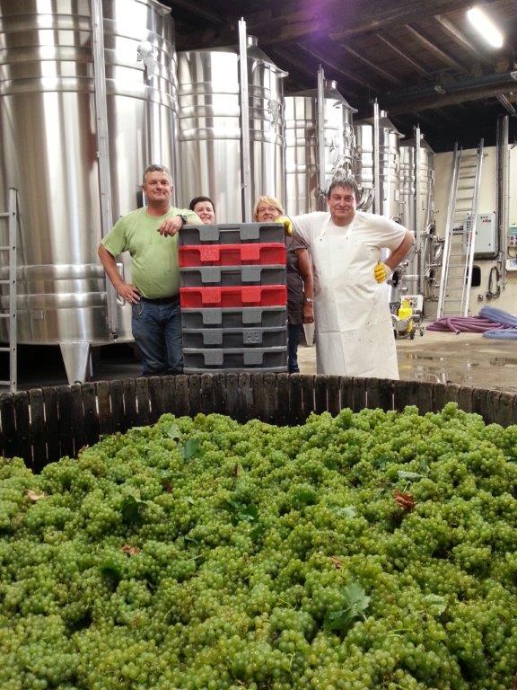 LES VENDANGES AUX CHAMPAGNES HORIOT PÈRE ET FILS – LES RICEYS