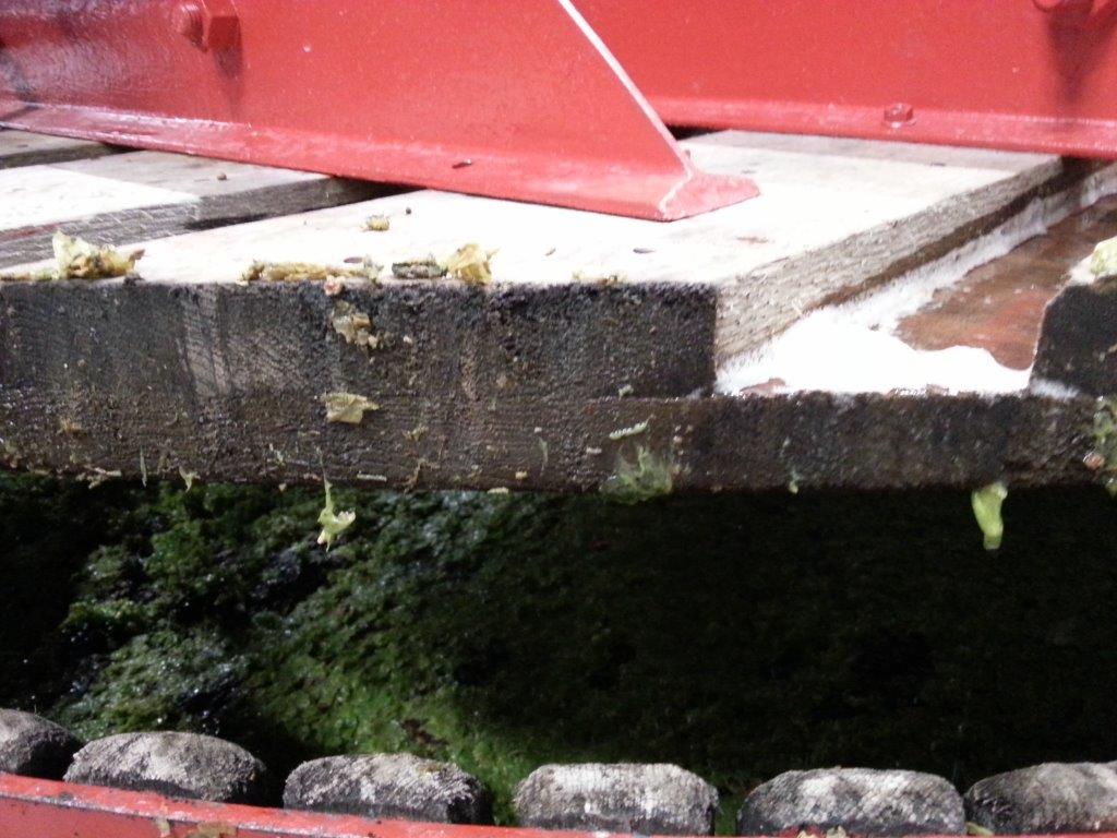 LES VENDANGES AUX CHAMPAGNES HORIOT PÈRE ET FILS – LES RICEYS