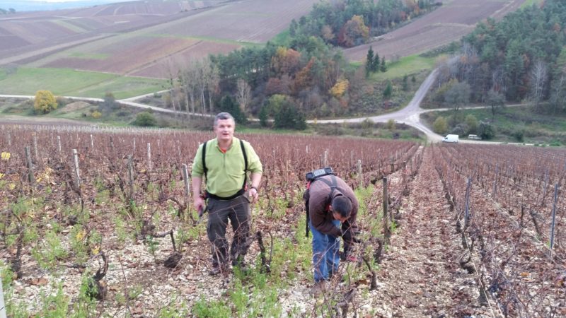 TRAVAUX DE LA VIGNE