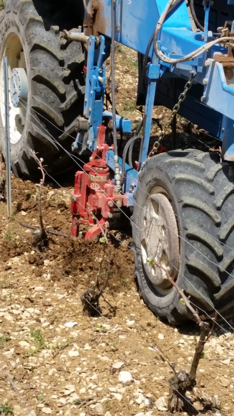 TRAVAUX DE LA VIGNE