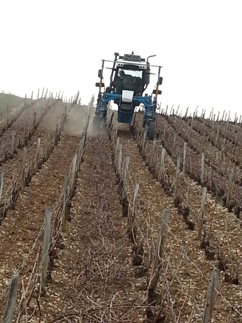 TRAVAUX DE LA VIGNE