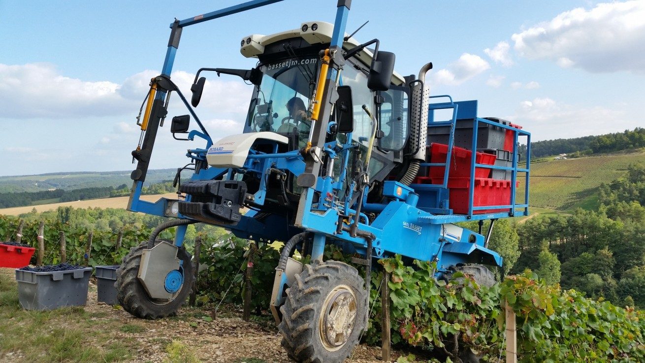 LES VENDANGES AUX CHAMPAGNES HORIOT PÈRE ET FILS – LES RICEYS