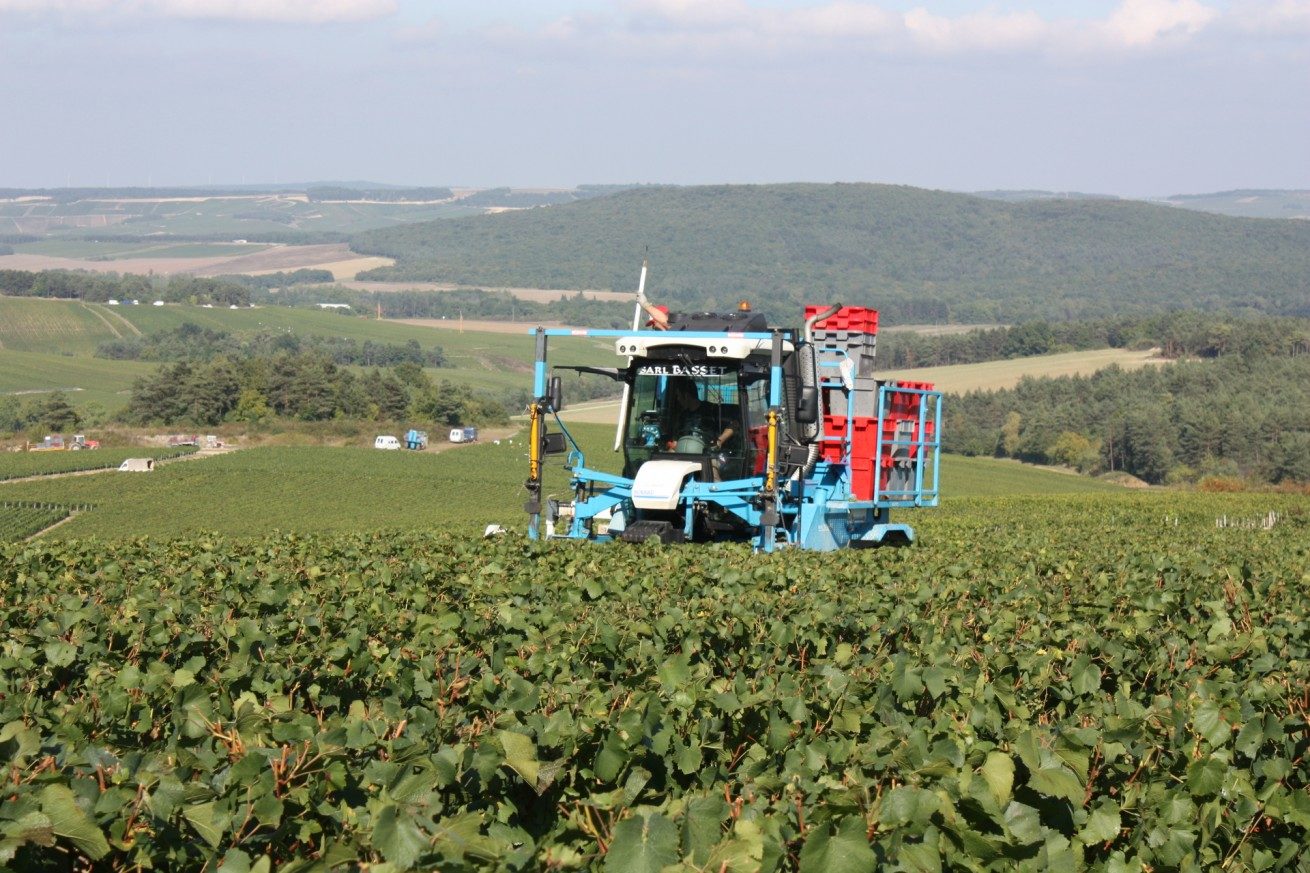 LES VENDANGES AUX CHAMPAGNES HORIOT PÈRE ET FILS – LES RICEYS