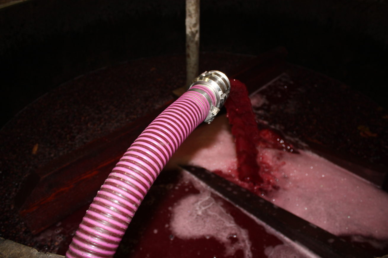 VINIFICATION DU ROUGE – CHAMPAGNE HORIOT PÈRE ET FILS