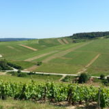 PAYSAGES VITICOLES LES RICEYS - + GRAND TERROIR DE CHAMPAGNE - COTE DES BAR